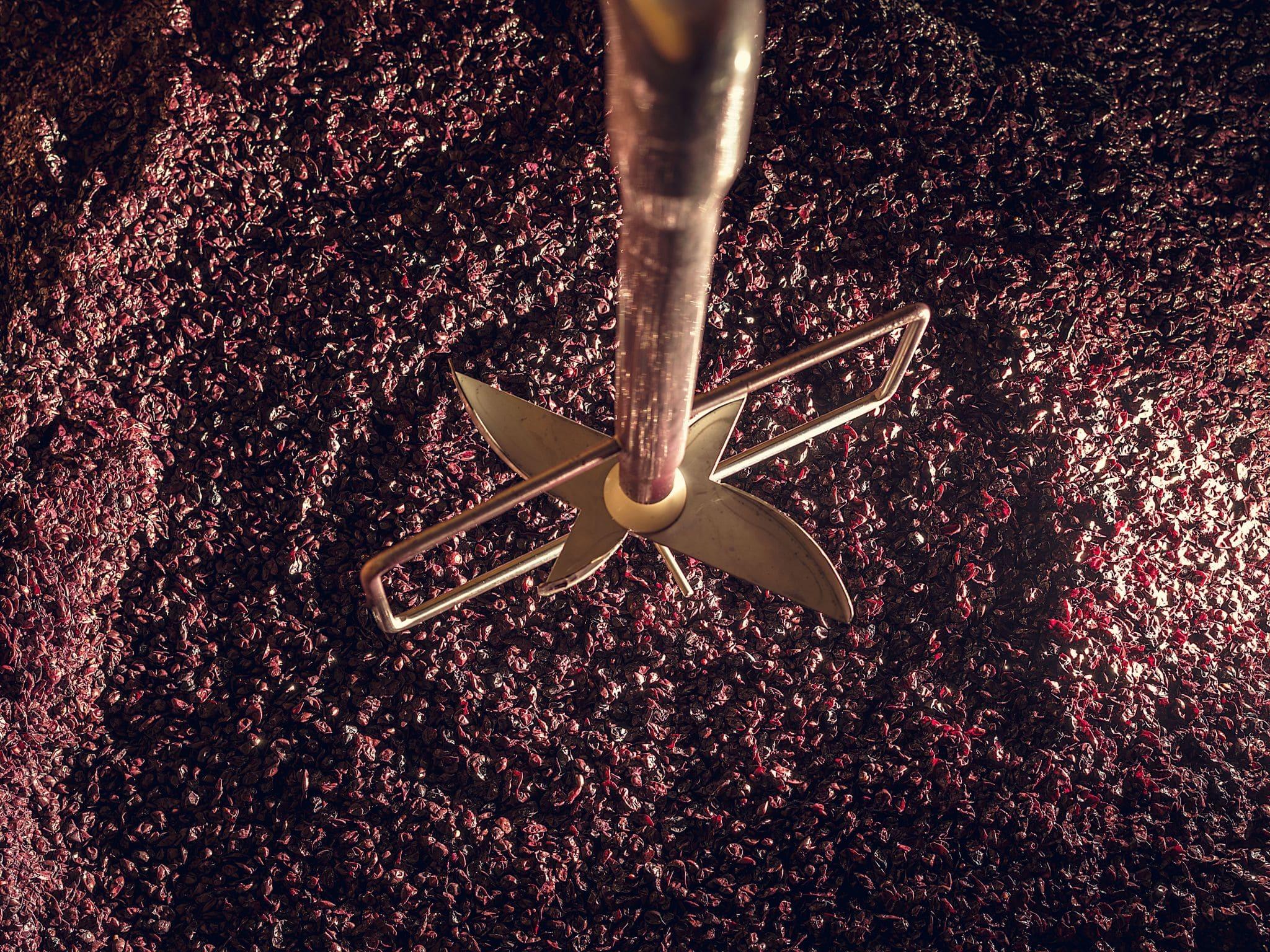 2009 Ornellaia – Bolgheri Super Tuscan with Elegance | Angry Wine