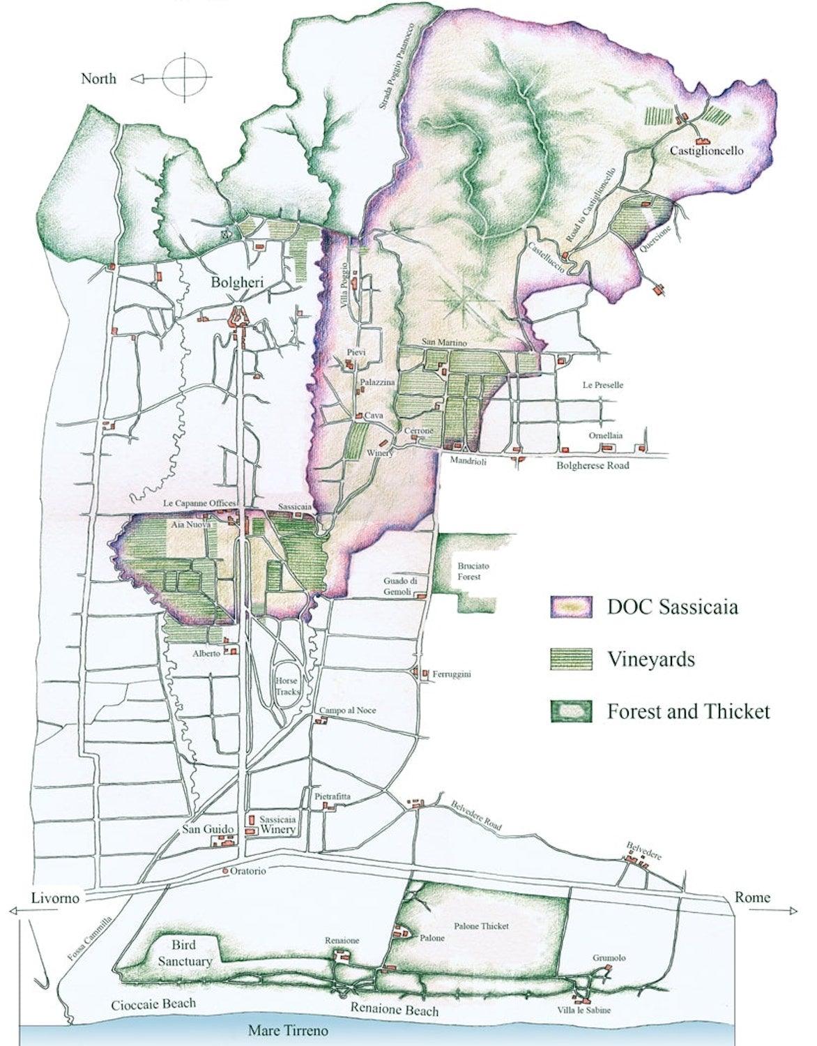 2009 Tenuta San Guido - Angry Wine Merchant