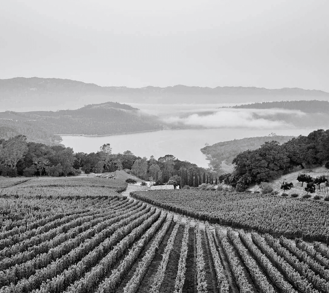 2010 Bryant Family Vineyard (Magnum) - Angry Wine Merchant