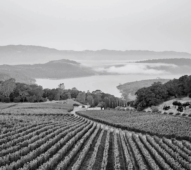 2010 Bryant Family Vineyard (Magnum) - Angry Wine Merchant