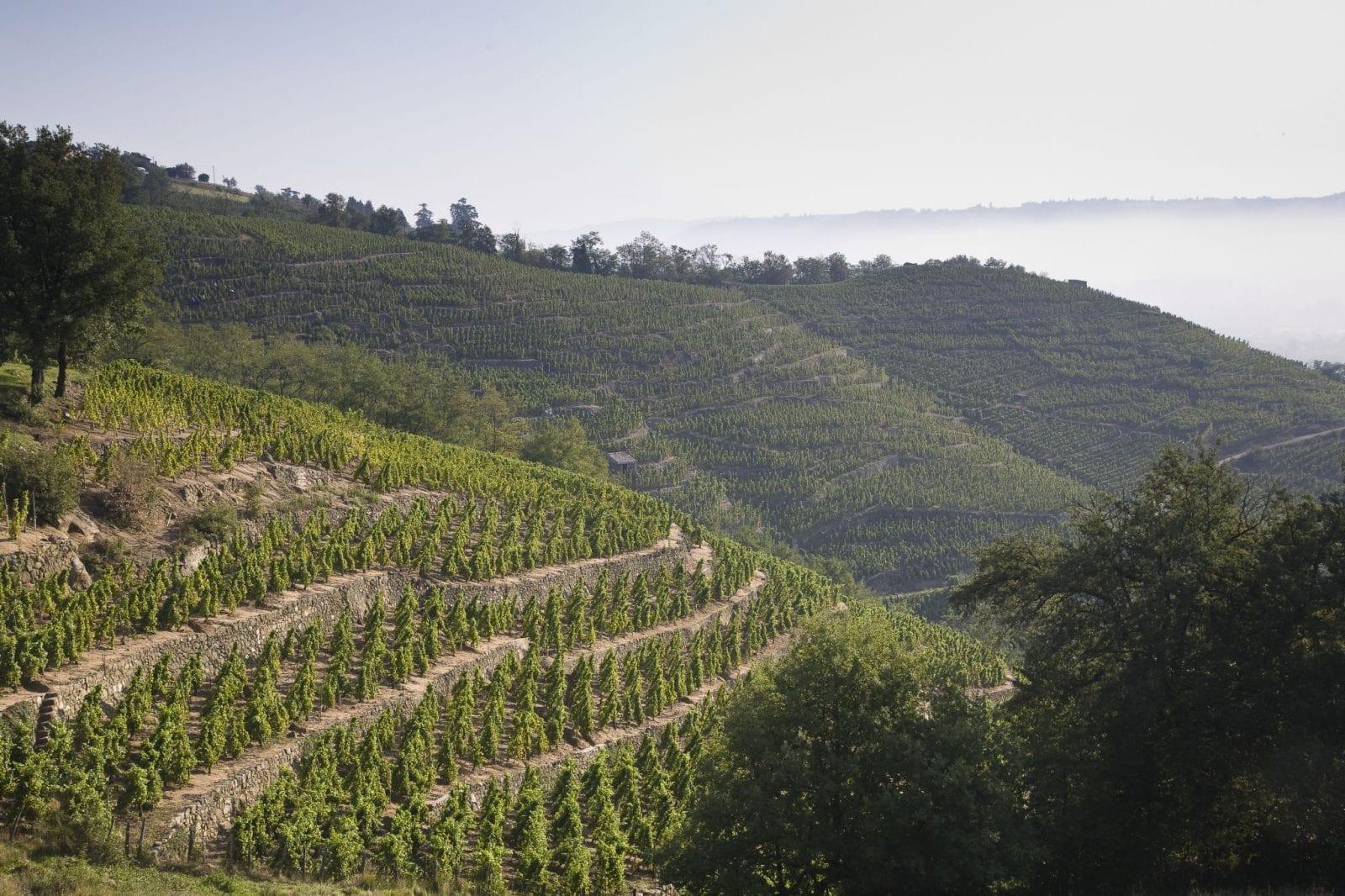 2010 E. Guigal - Angry Wine Merchant