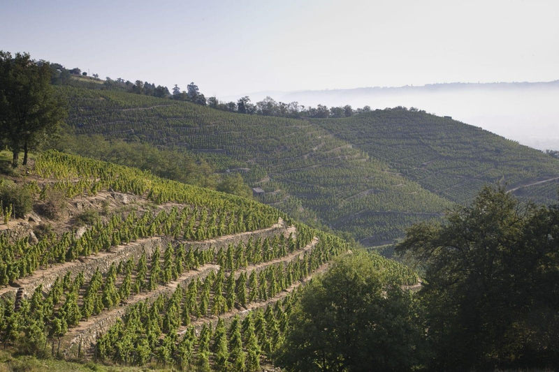 2010 E. Guigal - Angry Wine Merchant