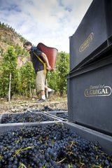 2010 E. Guigal - Angry Wine Merchant