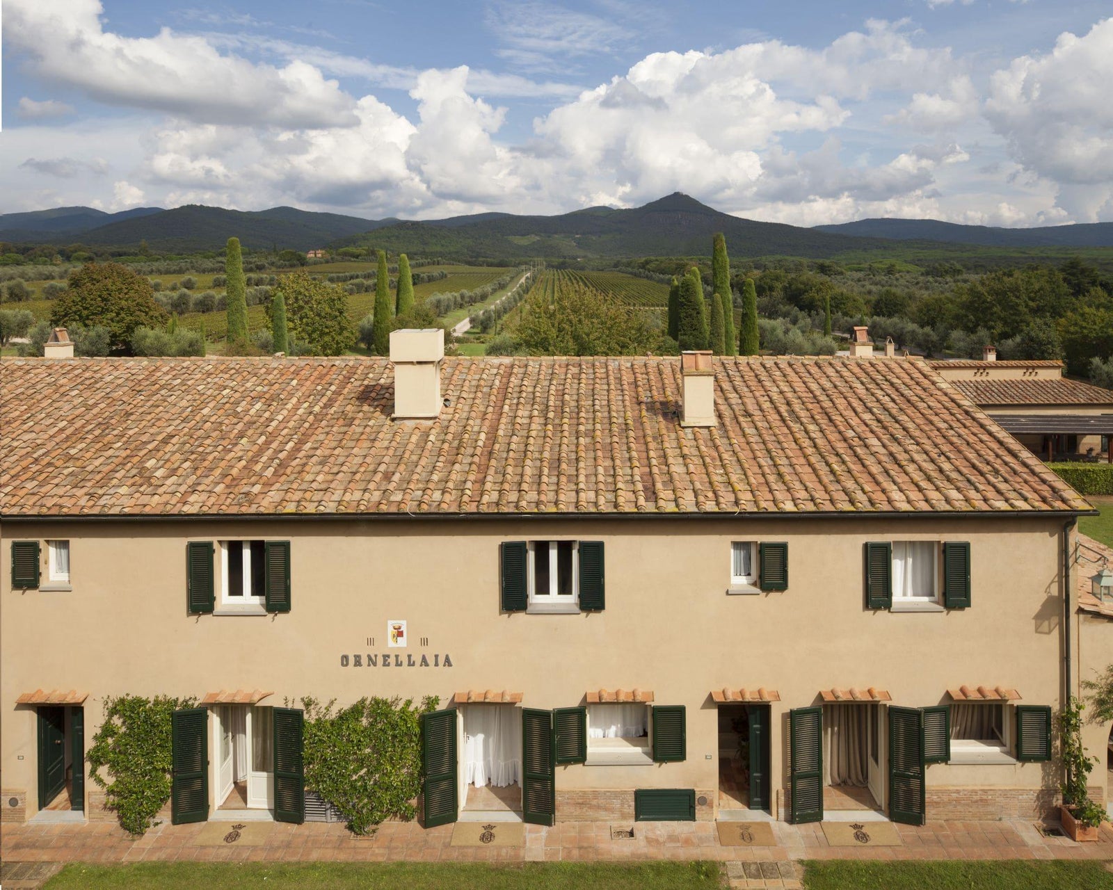 2011 Ornellaia - Angry Wine Merchant