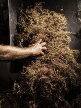 2011 Ornellaia - Angry Wine Merchant