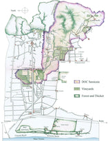 2013 Tenuta San Guido - Angry Wine Merchant