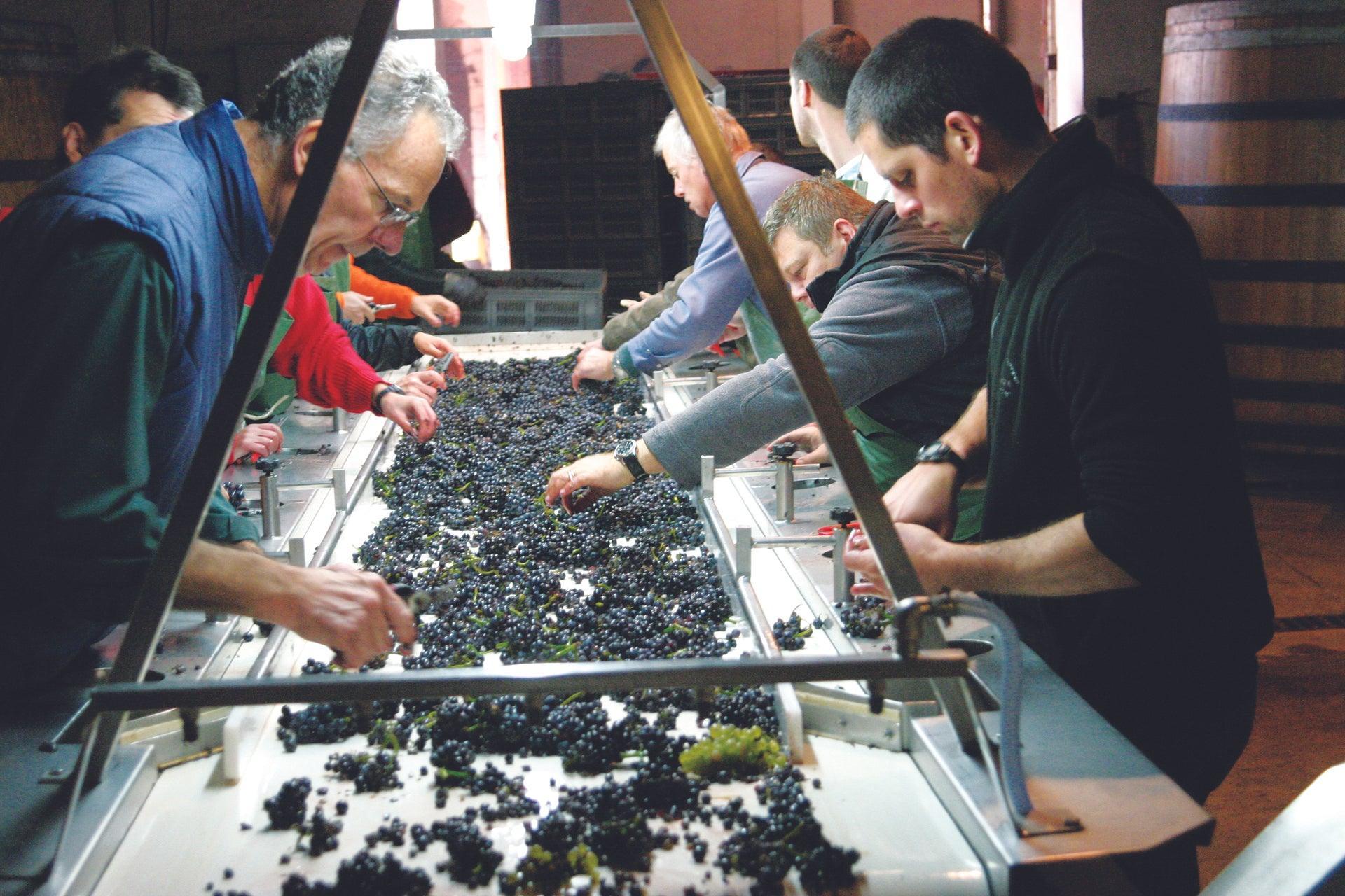 2014 Domaine de la Romanée-Conti - Angry Wine Merchant