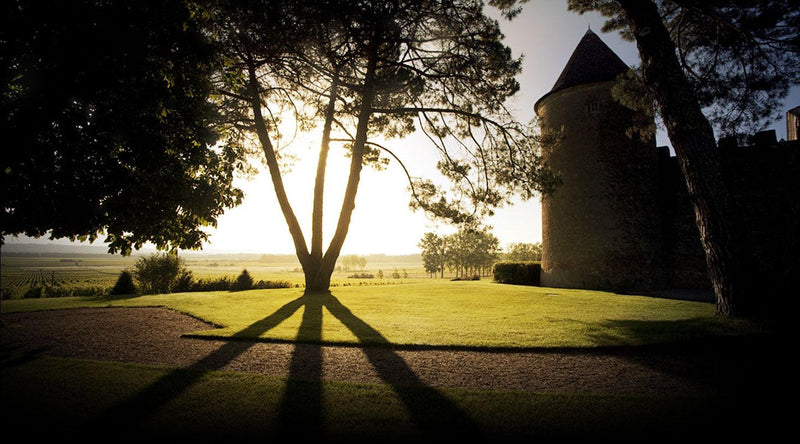 2015 Château d'Yquem - Angry Wine Merchant
