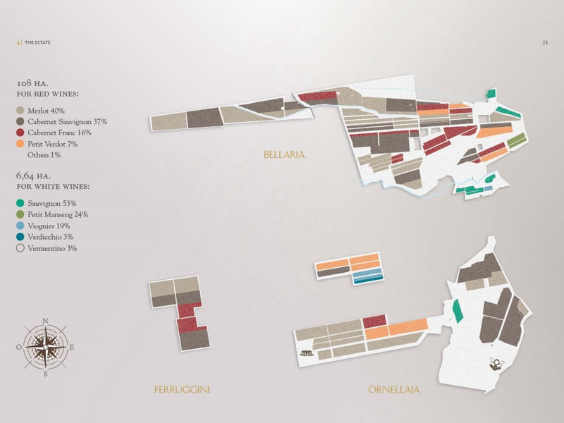 2015 Ornellaia - Angry Wine Merchant
