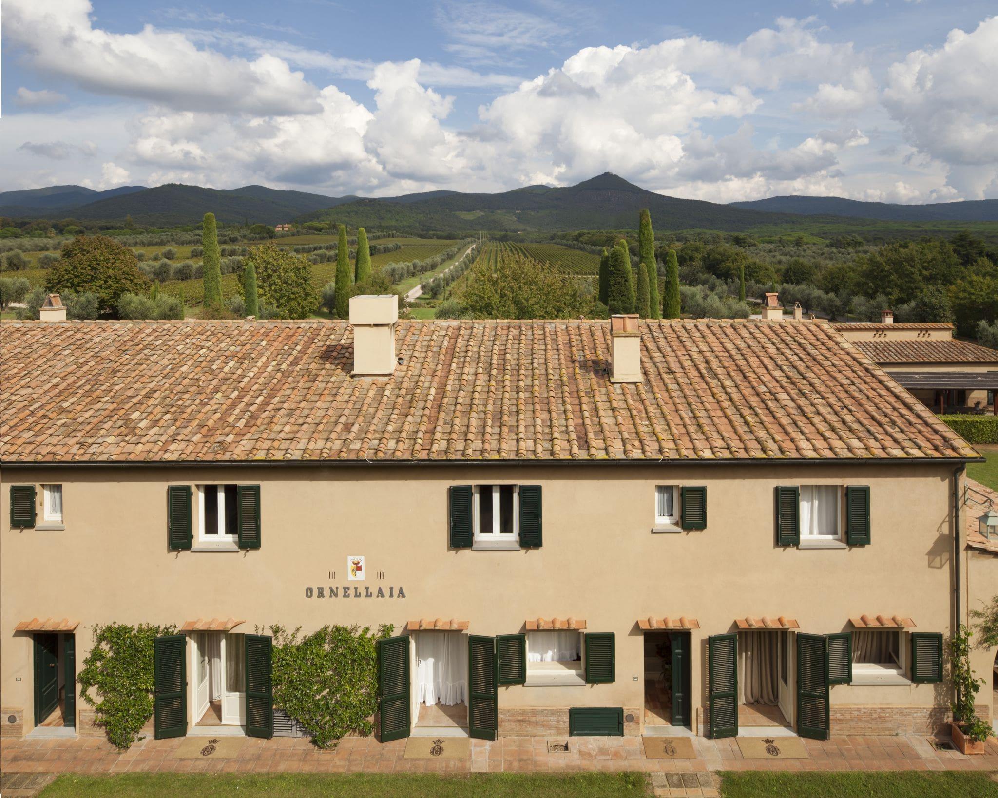 2015 Ornellaia - Angry Wine Merchant