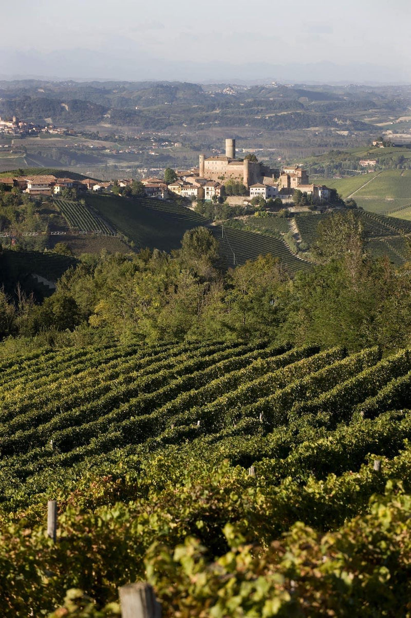 2015 Vietti - Angry Wine Merchant