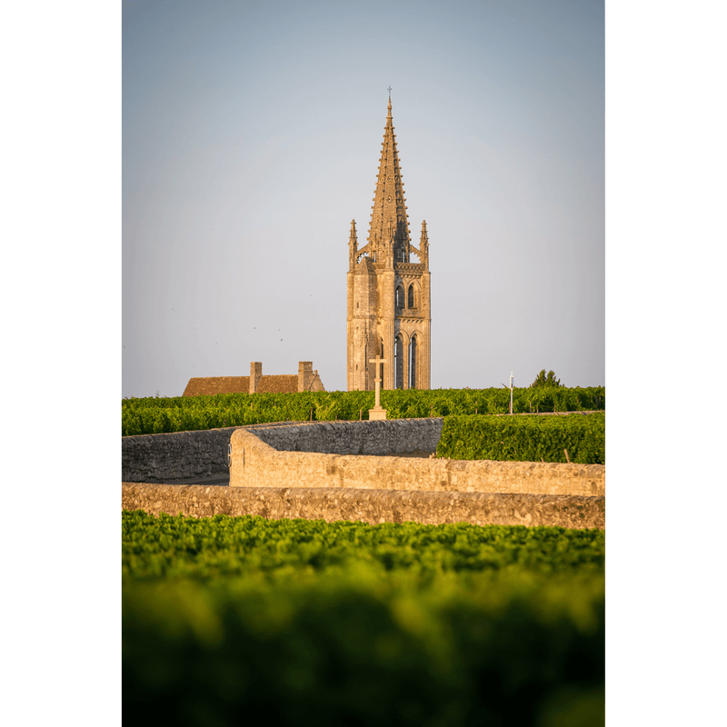 Chateau Canon- Angry Wine Merchant