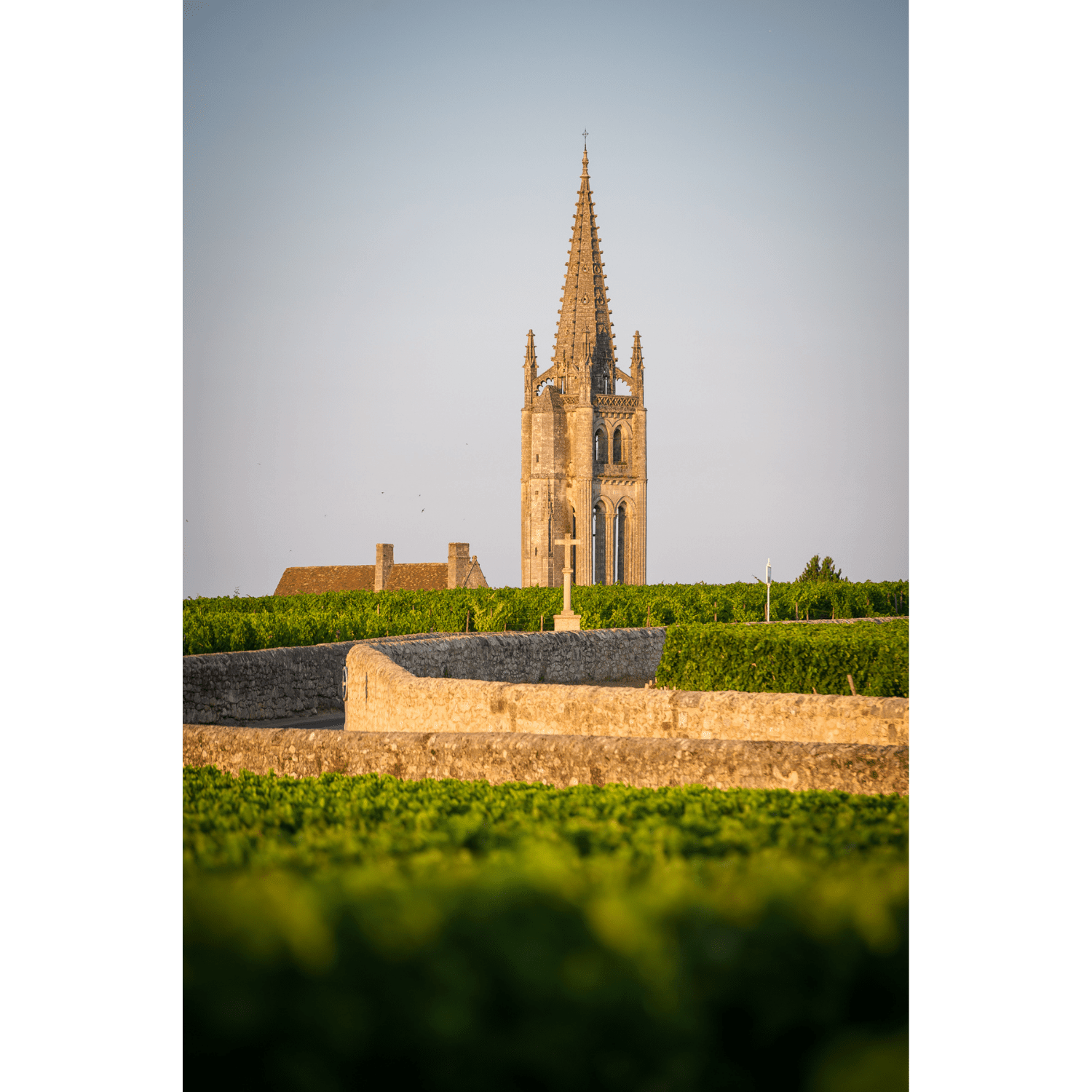 Chateau Canon- Angry Wine Merchant