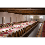 2016 Château Canon (Magnum) - Angry Wine Merchant