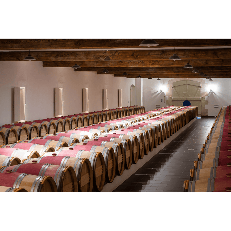 Chateau Canon- Angry Wine Merchant