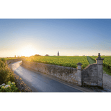 Chateau Canon- Angry Wine Merchant