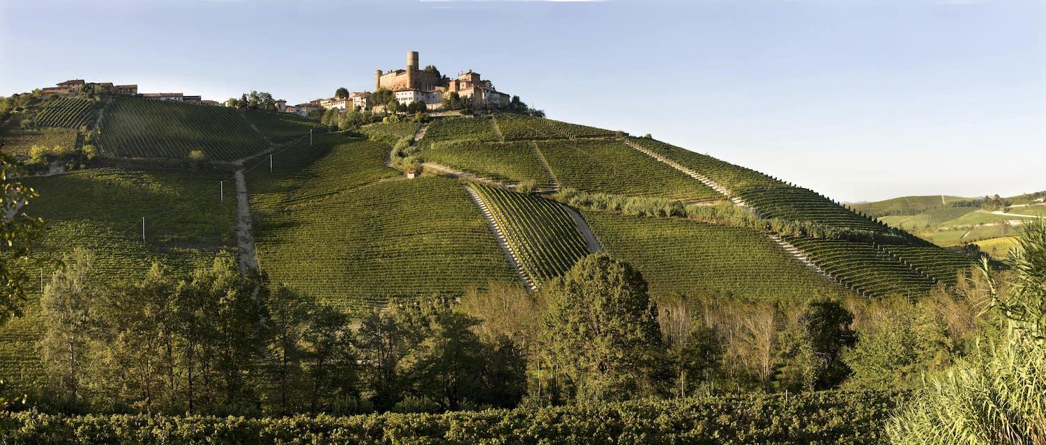 2016 Vietti - Angry Wine Merchant