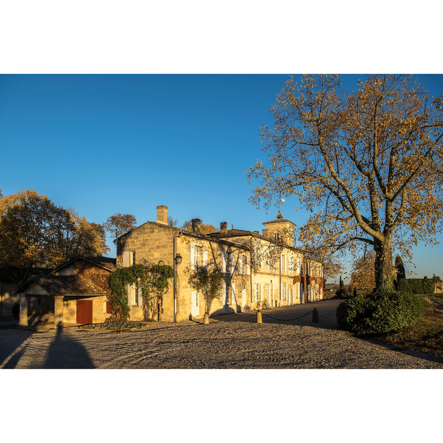 2017 Château Gazin - Angry Wine Merchant
