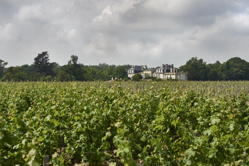 2018 Château Léoville Barton - Angry Wine Merchant