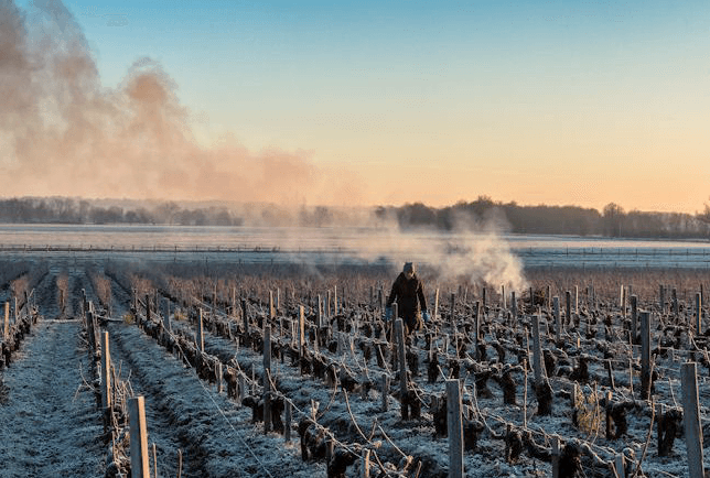 2018 Château Margaux - Angry Wine Merchant