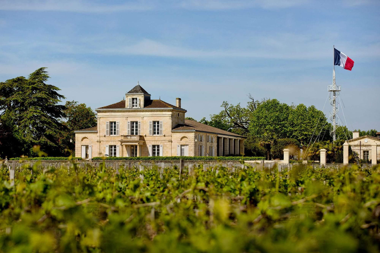 2018 Château Montrose - Angry Wine Merchant