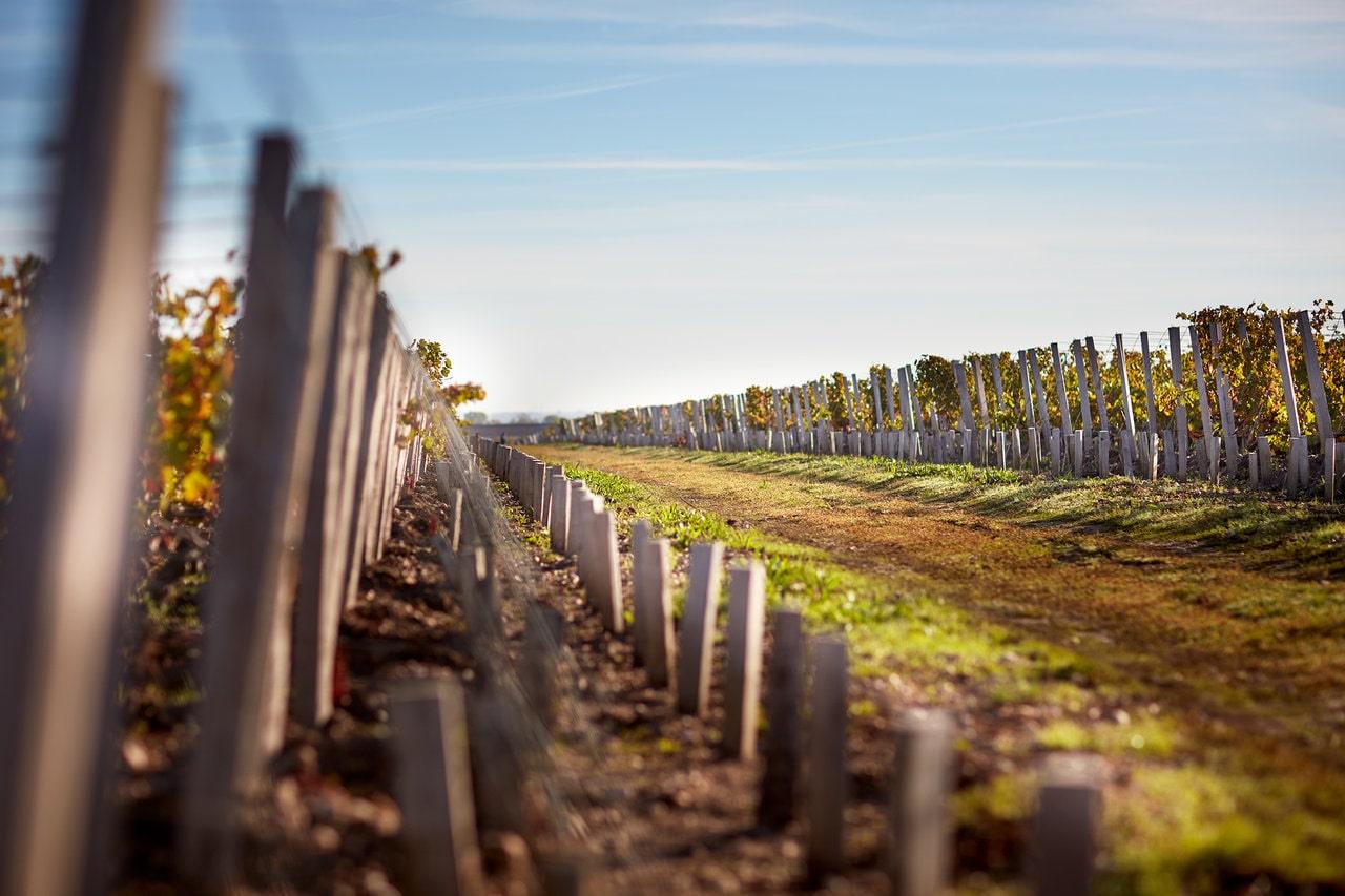 1989 Chateau Pichon-Baron - Angry Wine Merchant