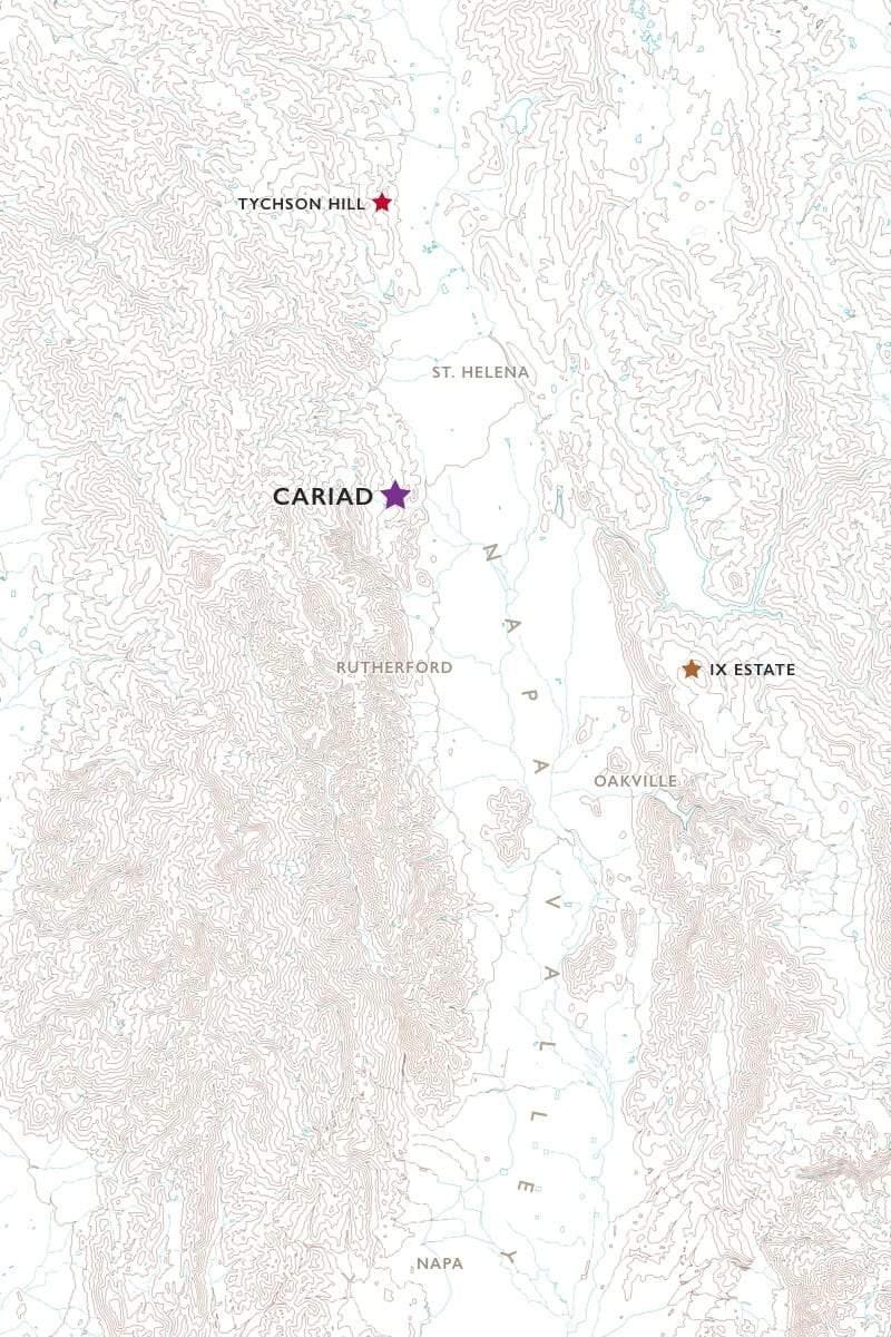 2018 Colgin Cellars - Angry Wine Merchant