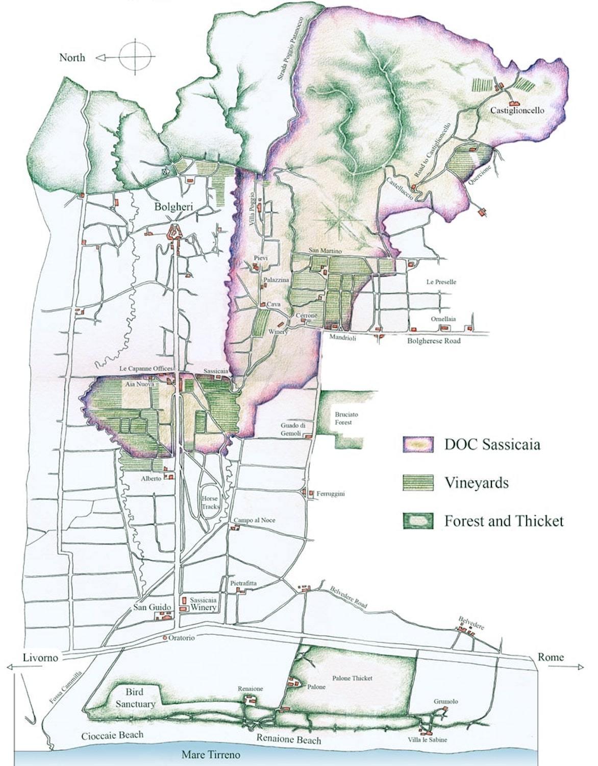 2018 Tenuta San Guido - Angry Wine Merchant