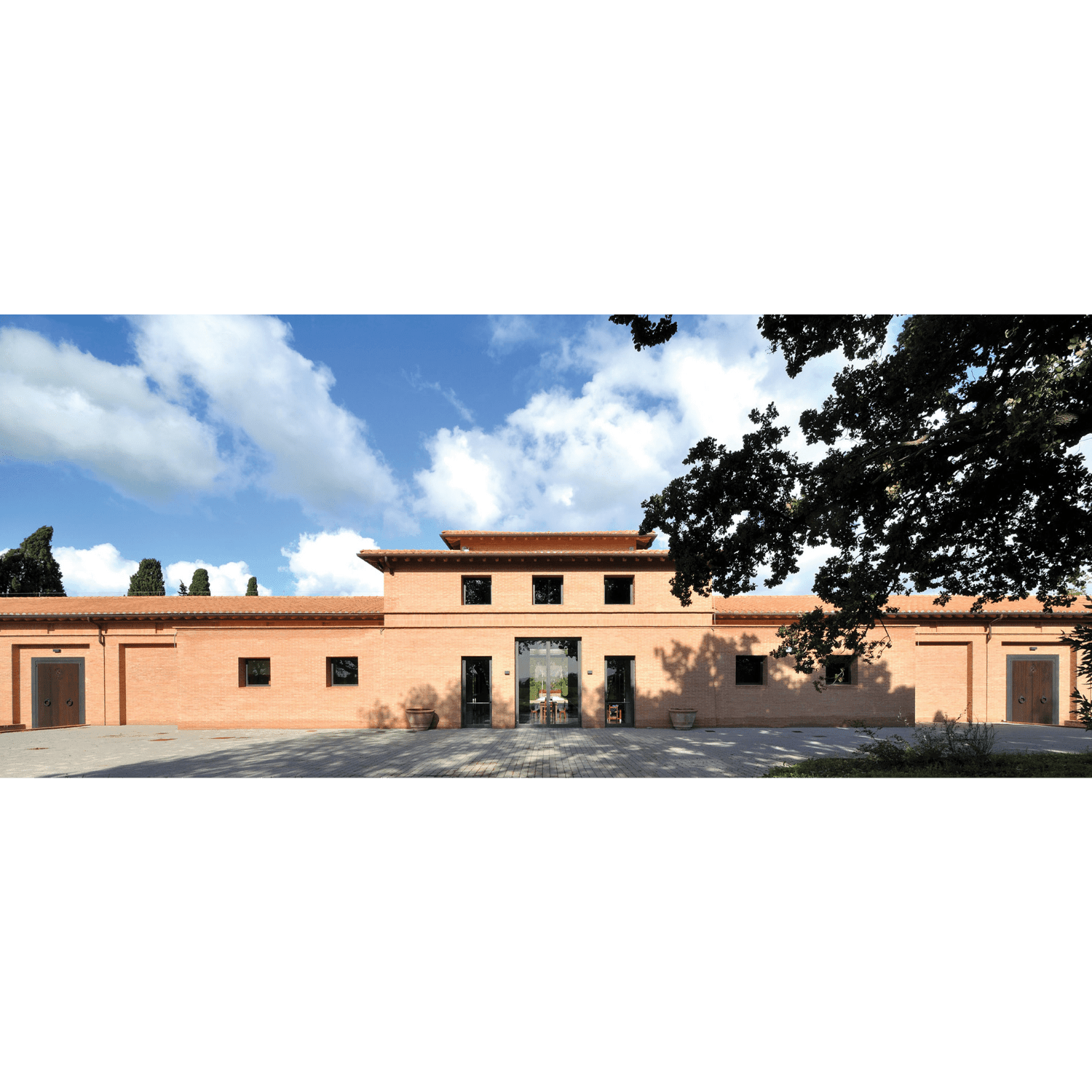 2019 Tenuta San Guido - Angry Wine Merchant