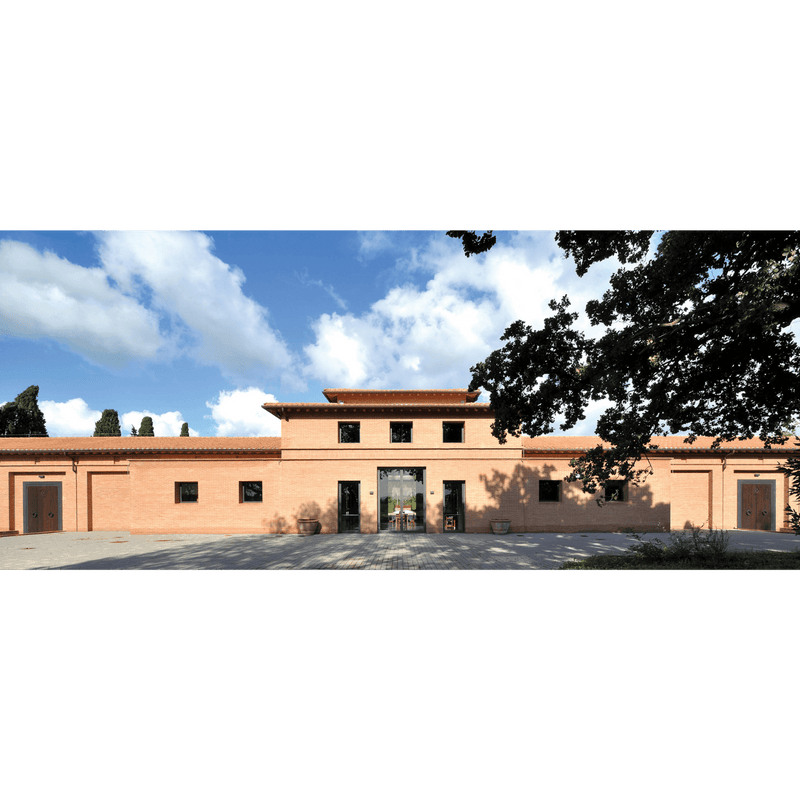 2019 Tenuta San Guido - Angry Wine Merchant