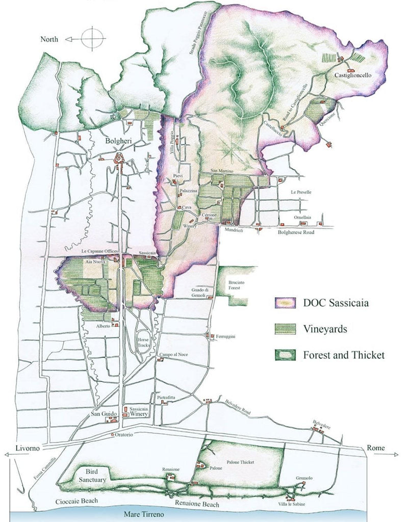 2019 Tenuta San Guido - Angry Wine Merchant