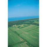 2019 Tenuta San Guido - Angry Wine Merchant