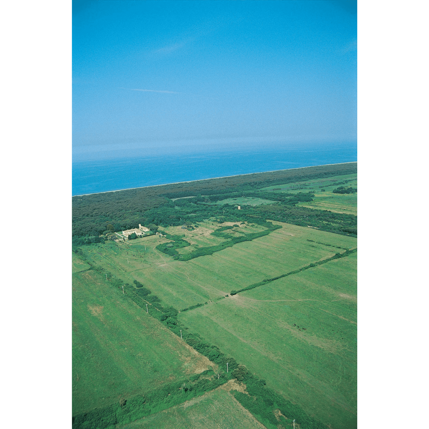 2019 Tenuta San Guido - Angry Wine Merchant