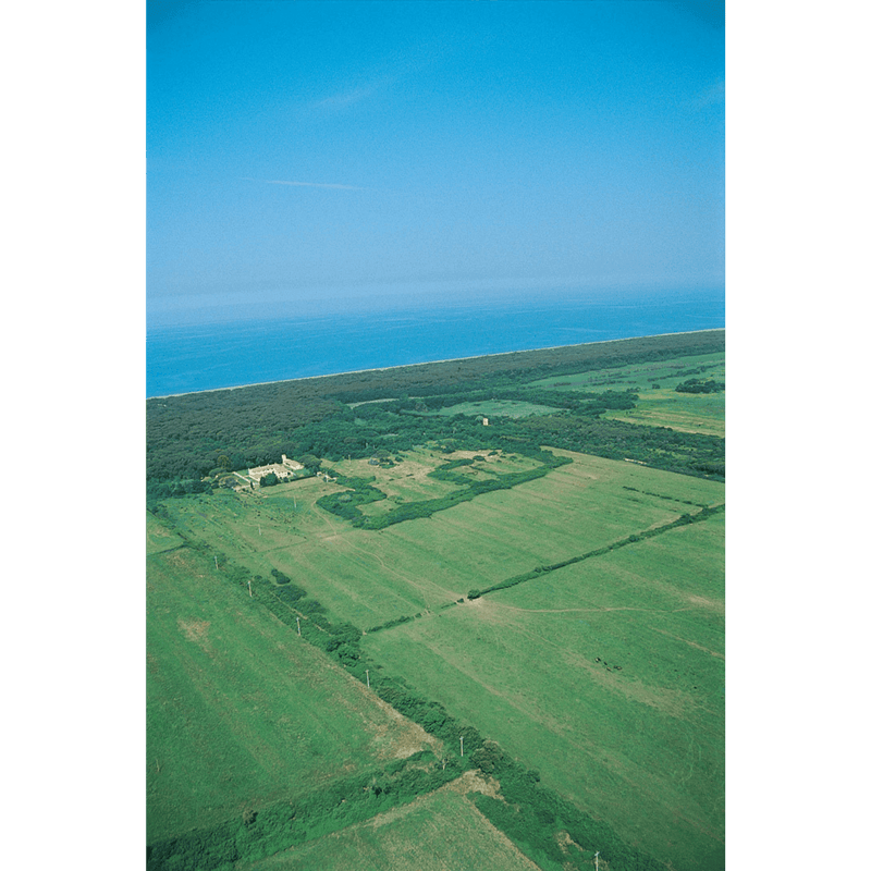 2019 Tenuta San Guido - Angry Wine Merchant