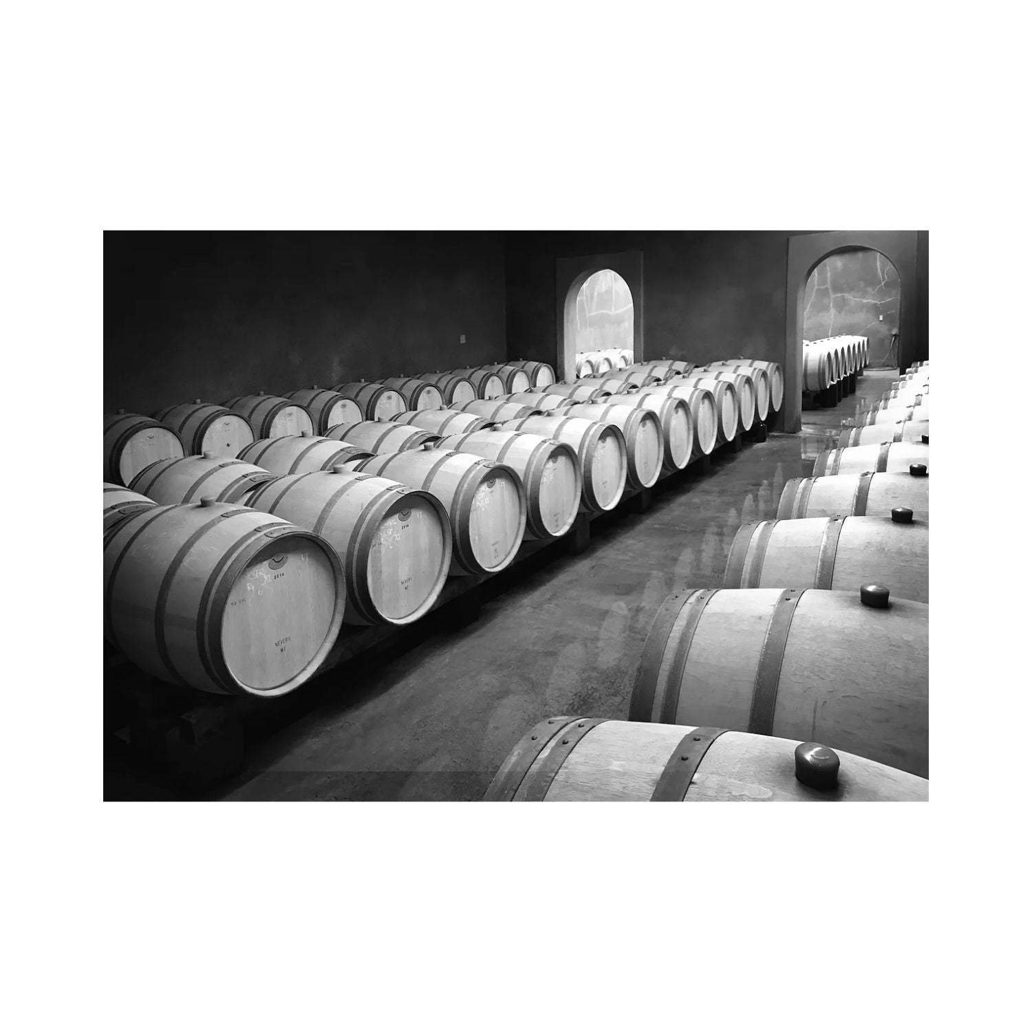 2019 Philip Togni Vineyard