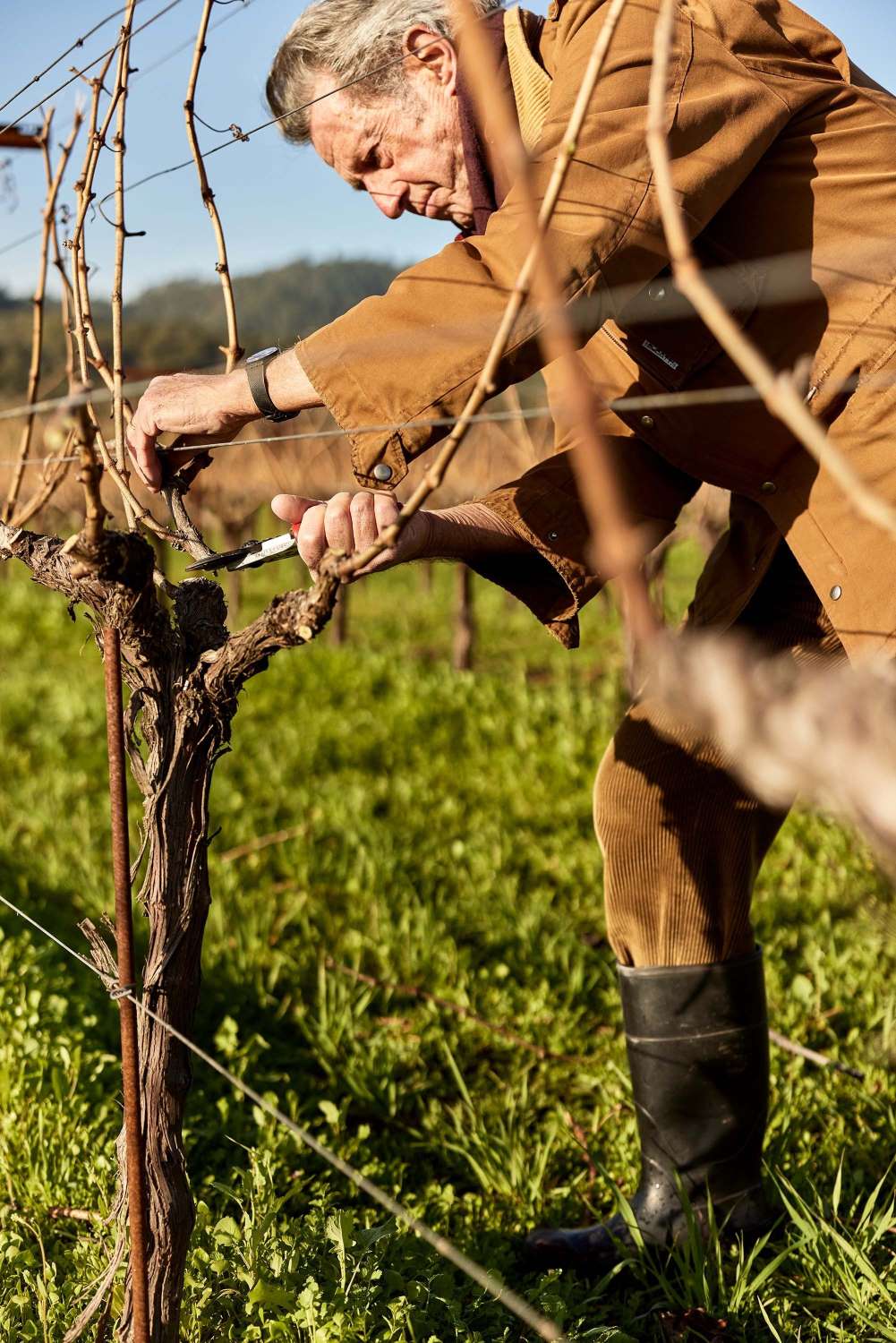 2012 Dominus Estate Christian Moueix – Napa Valley | Angry Wine