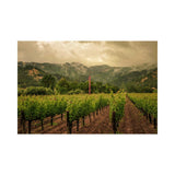 2010 Eisele Vineyard