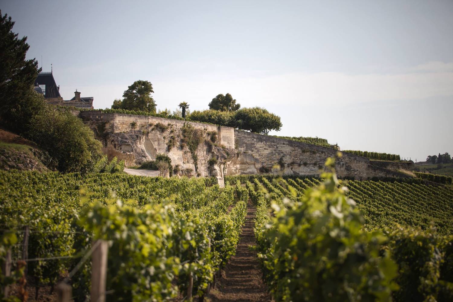 1983 Chateau Ausone – Saint Emilion Grand Cru | Angry Wine Merchant