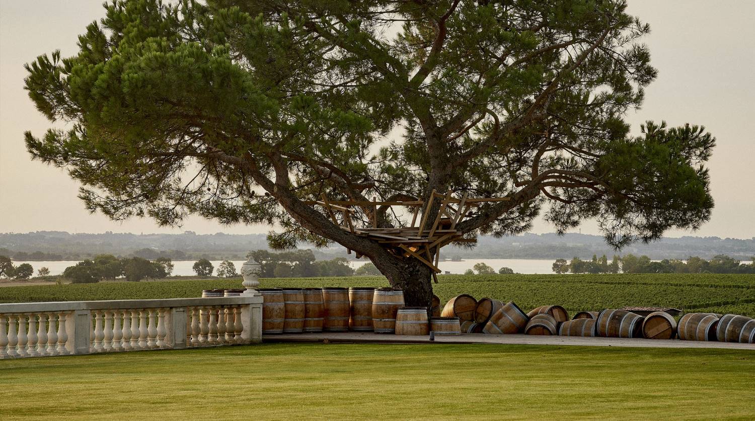 Chateau Pichon Longueville Comtesse de Lalande 1985 | Angry Wine