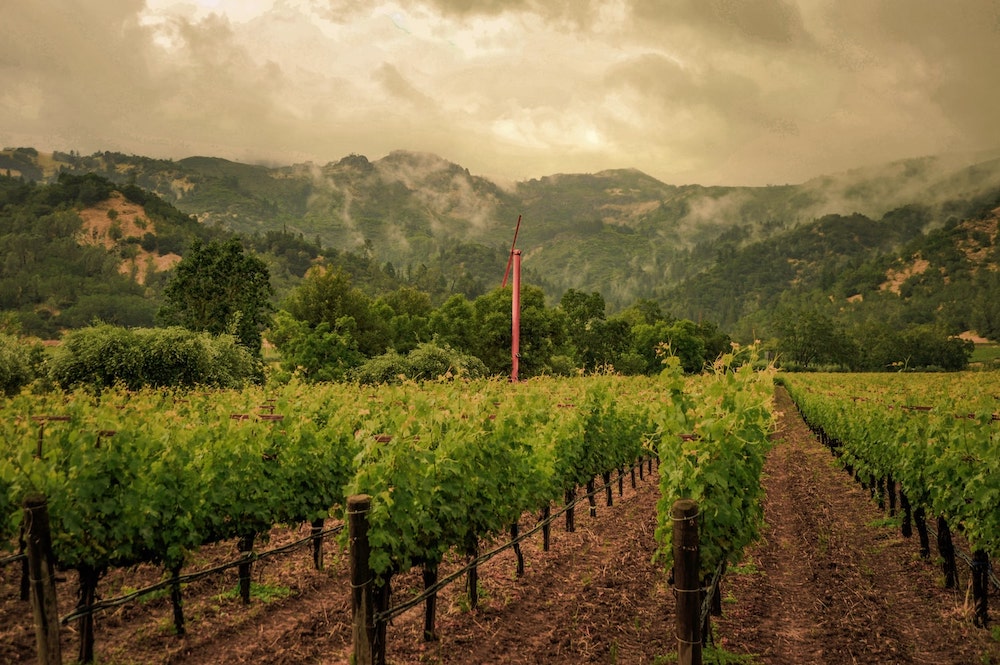 2018 Eisele Vineyard