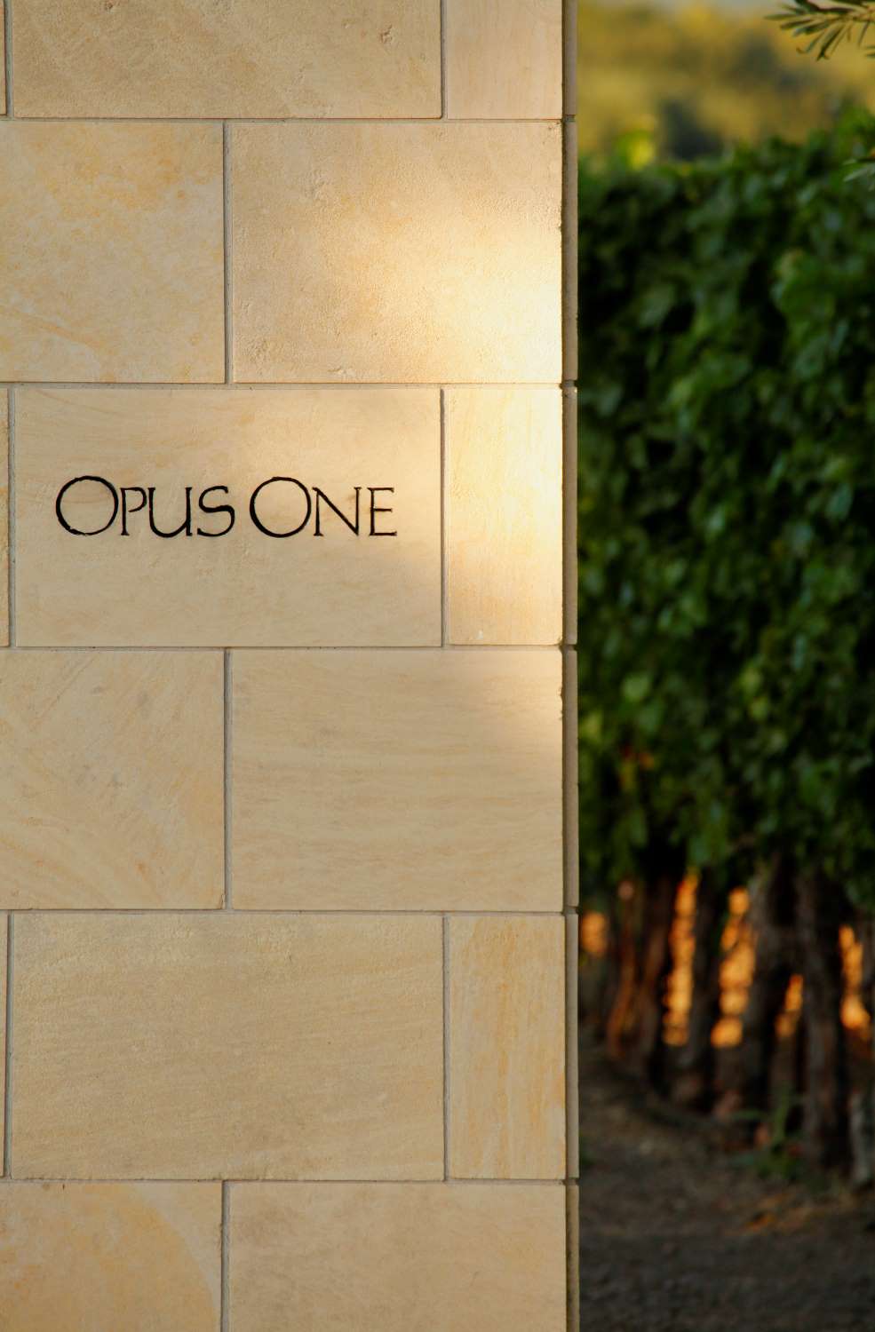 2018 Opus One – Iconic Napa Valley Cabernet | Angry Wine Merchant