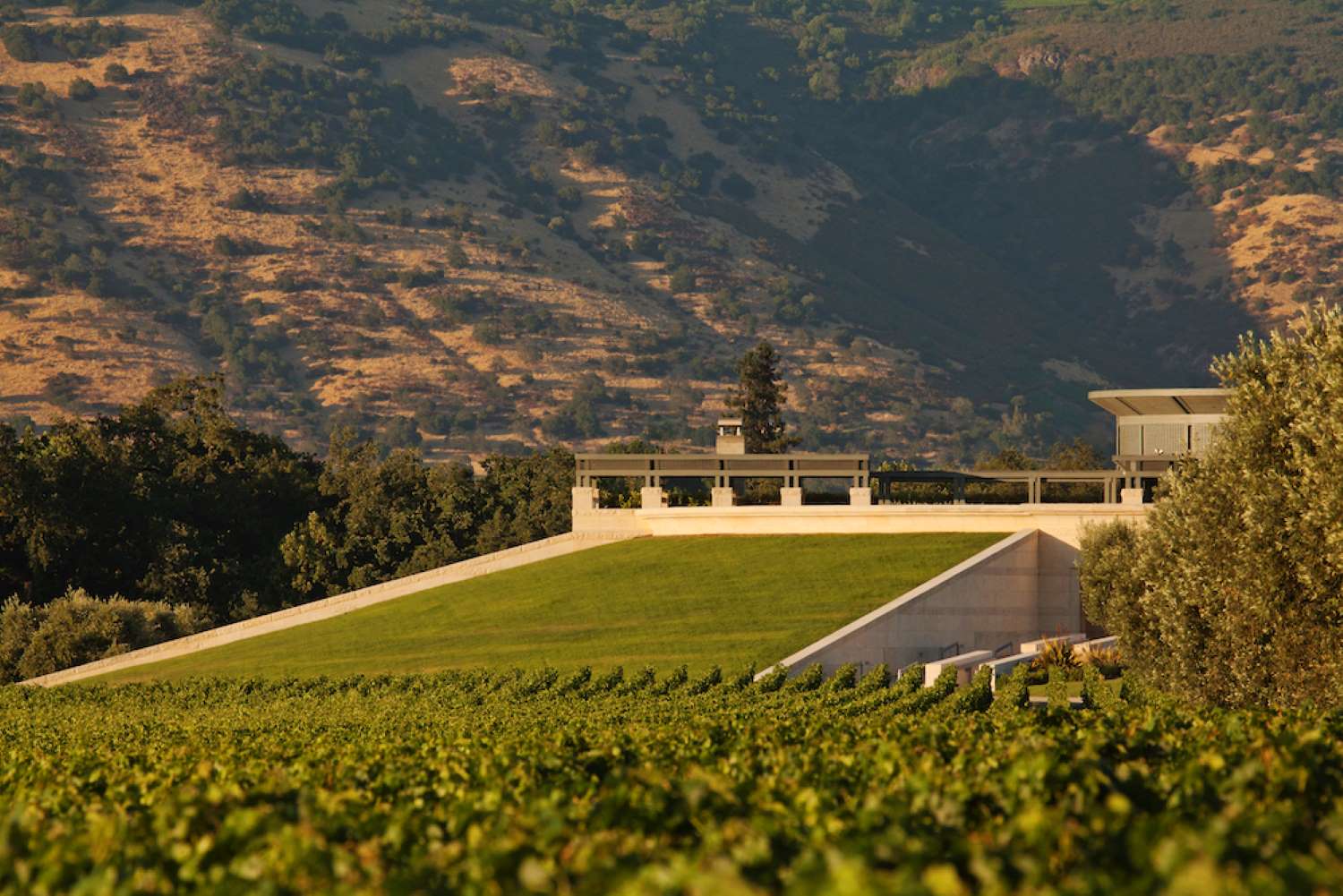 2004 Opus One – Napa Valley's Benchmark Bordeaux-Style Blend