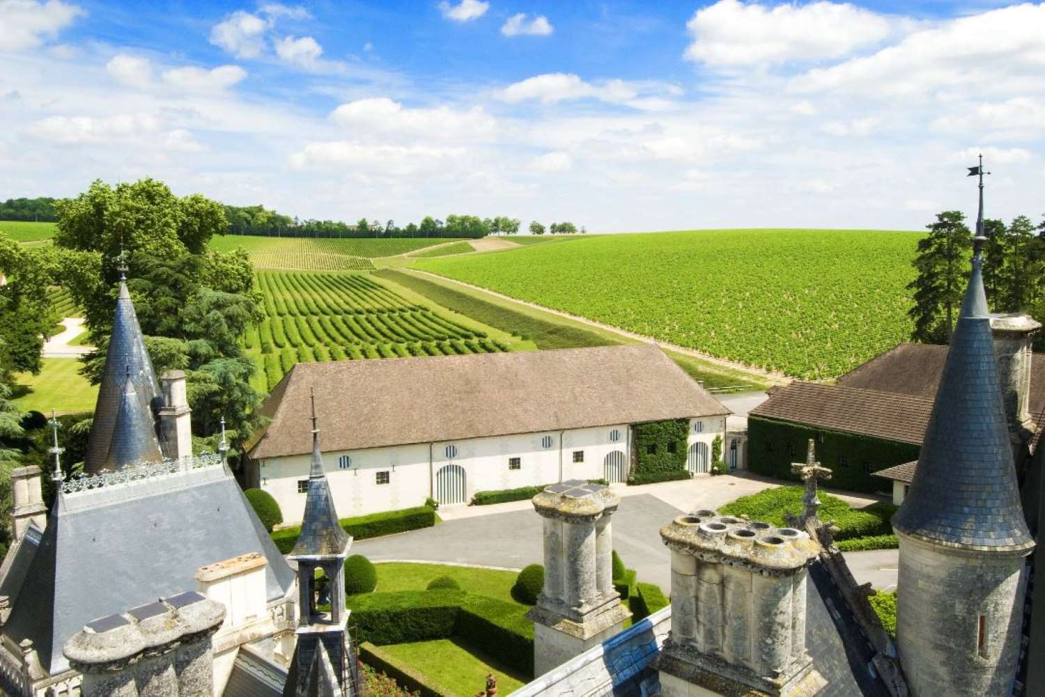 2018 Domaine de Ladoucette