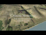 2005 Chateau Montrose