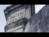 2009 Chateau Canon (Magnum)