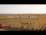 Domaine Anne Gros - Angry Wine Merchant